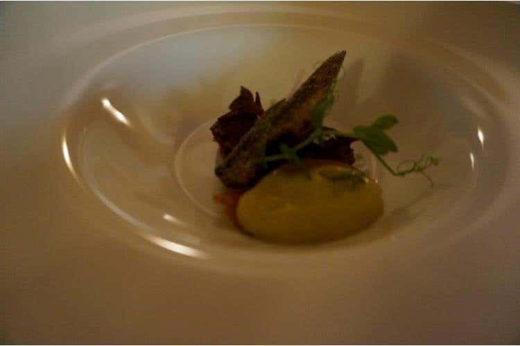 Alessandro Mecca  Estate di San Martino - VILLANOVA D'ASTI - AT - LA LINGUA INCONTRA LA TINCA IN CARPIONE